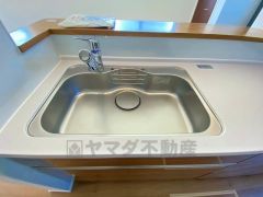 広々とした凸型シンクに洗剤ポケットを標準装備。大きなお鍋など洗いやすいです。洗剤や石鹸、スポンジもすっきりできる収納付き。