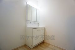 同仕様写真。レバーシャワーで引き出して使用できます。収納も一体型になっているので、ドライヤーやヘアアイロンの置き場に困りませんね。