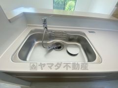 色も形もキレイなシンクは、広さも確保しているので、大きめの鍋も簡単に洗えます。