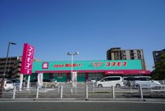ディスカウントドラッグコスモス　下大利店