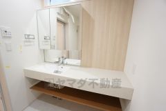 同仕様写真。レバーシャワーで引き出して使用できます。収納も一体型になっているので、ドライヤーやヘアアイロンの置き場に困りませんね。