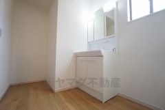 同仕様写真。レバーシャワーで引き出して使用できます。収納も一体型になっているので、ドライヤーやヘアアイロンの置き場に困りませんね。