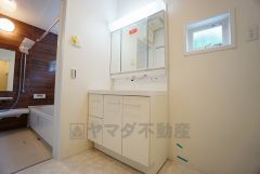 同仕様写真。レバーシャワーで引き出して使用できます。収納も一体型になっているので、ドライヤーやヘアアイロンの置き場に困りませんね。
