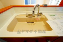 広々とした凸型シンクに洗剤ポケットを標準装備。大きなお鍋など洗いやすいです。洗剤や石鹸、スポンジもすっきりできる収納付き。