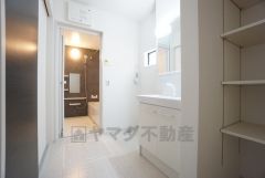 同仕様写真。レバーシャワーで引き出して使用できます。収納も一体型になっているので、ドライヤーやヘアアイロンの置き場に困りませんね。