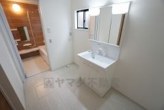 同仕様写真。レバーシャワーで引き出して使用できます。収納も一体型になっているので、ドライヤーやヘアアイロンの置き場に困りませんね。