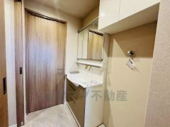 レバーシャワーで引き出して使用できます。収納も一体型になっているので、ドライヤーやヘアアイロンの置き場に困りませんね。