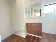 レバーシャワーで引き出して使用できます。収納も一体型になっているので、ドライヤーやヘアアイロンの置き場に困りませんね。
