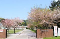 山田小学校