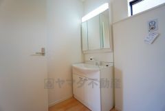 レバーシャワーで引き出して使用できます。収納も一体型になっているので、ドライヤーやヘアアイロンの置き場に困りませんね。