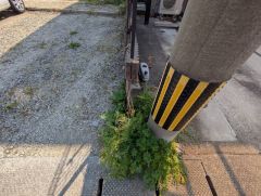 建築条件なし＾＾お客様のお好みにあったハウスメーカーで建築可能。スーパー・コンビニまで徒歩9分圏内＾＾