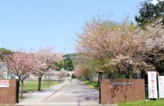 山田小学校