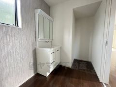 収納が隠れて使いやすい、シャワー付き三面鏡洗面ドレッサーです。朝の準備もぬかりなくできます。