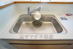 広々とした凸型シンクに洗剤ポケットを標準装備。大きなお鍋など洗いやすいです。洗剤や石鹸、スポンジもすっきりできる収納付き。