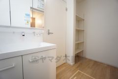 同仕様写真。レバーシャワーで引き出して使用できます。収納も一体型になっているので、ドライヤーやヘアアイロンの置き場に困りませんね。