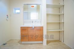 レバーシャワーで引き出して使用できます。収納も一体型になっているので、ドライヤーやヘアアイロンの置き場に困りませんね。