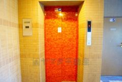 共用部。エレベーター付きです。 高層階の方や、多いお荷物、階段を使用できない時など便利です＾＾ 清掃も綺麗に行き届いております＾＾