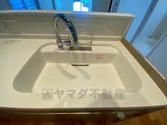 広々とした凸型シンクに洗剤ポケットを標準装備。大きなお鍋など洗いやすいです。洗剤や石鹸、スポンジもすっきりできる収納付き。