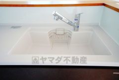 広々とした凸型シンクに洗剤ポケットを標準装備。大きなお鍋など洗いやすいです。洗剤や石鹸、スポンジもすっきりできる収納付き。