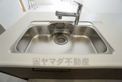 広々とした凸型シンクに洗剤ポケットを標準装備。大きなお鍋など洗いやすいです。洗剤や石鹸、スポンジもすっきりできる収納付き。