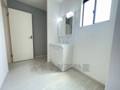 レバーシャワーで引き出して使用できます。収納も一体型になっているので、ドライヤーやヘアアイロンの置き場に困りませんね。