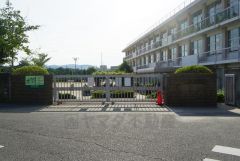 大利小学校