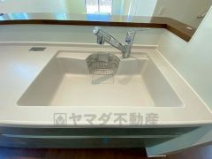 広々とした凸型シンクに洗剤ポケットを標準装備。大きなお鍋など洗いやすいです。