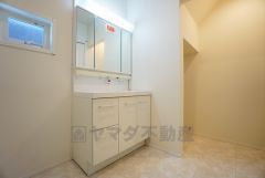 同仕様写真。レバーシャワーで引き出して使用できます。収納も一体型になっているので、ドライヤーやヘアアイロンの置き場に困りませんね。