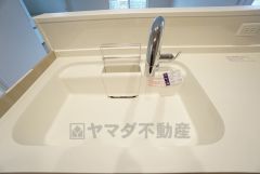 広々とした凸型シンクに洗剤ポケットを標準装備。大きなお鍋など洗いやすいです。洗剤や石鹸、スポンジもすっきりできる収納付き。