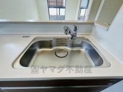 色も形もキレイなシンクは、広さも確保しているので、大きめの鍋も簡単に洗えます。