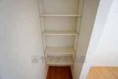 同仕様写真。キッチン横パントリー収納。食器やキッチン用品、食料品の保存に便利です＾＾高さのある物もスッキリ収納できます＾＾