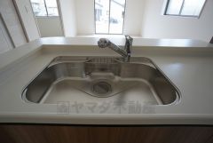 大きな鍋などもラクラク洗えるワイドサイズを採用。排水口が奥なので水の流れもスムーズです。浄水器内蔵型シャワー水栓つき。