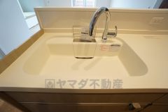 広々とした凸型シンクに洗剤ポケットを標準装備。大きなお鍋など洗いやすいです。洗剤や石鹸、スポンジもすっきりできる収納付き。