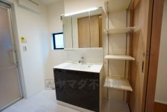 レバーシャワーで引き出して使用できます。収納も一体型になっているので、ドライヤーやヘアアイロンの置き場に困りませんね。