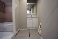 レバーシャワーで引き出して使用できます。収納も一体型になっているので、ドライヤーやヘアアイロンの置き場に困りませんね。