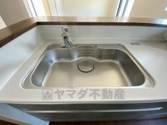 広々とした凸型シンクに洗剤ポケットを標準装備。大きなお鍋など洗いやすいです。洗剤や石鹸、スポンジもすっきりできる収納付き。