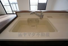 広々とした凸型シンクに洗剤ポケットを標準装備。大きなお鍋など洗いやすいです。洗剤や石鹸、スポンジもすっきりできる収納付き。