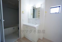 レバーシャワーで引き出して使用できます。収納も一体型になっているので、ドライヤーやヘアアイロンの置き場に困りませんね。