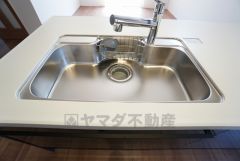 広々とした凸型シンクに洗剤ポケットを標準装備。大きなお鍋など洗いやすいです。洗剤や石鹸、スポンジもすっきりできる収納付き。