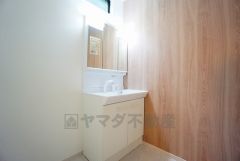 レバーシャワーで引き出して使用できます。収納も一体型になっているので、ドライヤーやヘアアイロンの置き場に困りませんね。