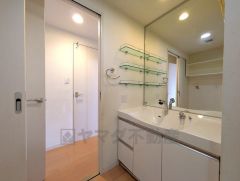 レバーシャワーで引き出して使用できます。収納も一体型になっているので、ドライヤーやヘアアイロンの置き場に困りませんね。