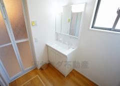 同仕様写真。レバーシャワーで引き出して使用できます。収納も一体型になっているので、ドライヤーやヘアアイロンの置き場に困りませんね。