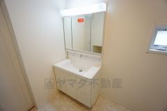 同仕様写真。レバーシャワーで引き出して使用できます。収納も一体型になっているので、ドライヤーやヘアアイロンの置き場に困りませんね。