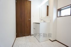 同仕様写真。レバーシャワーで引き出して使用できます。収納も一体型になっているので、ドライヤーやヘアアイロンの置き場に困りませんね。