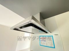 広々とした凸型シンクに洗剤ポケットを標準装備。大きなお鍋など洗いやすいです。洗剤や石鹸、スポンジもすっきりできる収納付き。