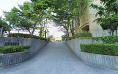 御笠の森小学校