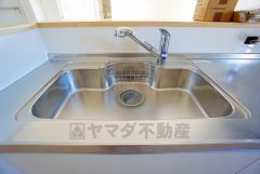 広々とした凸型シンクに洗剤ポケットを標準装備。大きなお鍋など洗いやすいです。洗剤や石鹸、スポンジもすっきりできる収納付き。