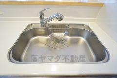広々とした凸型シンクに洗剤ポケットを標準装備。大きなお鍋など洗いやすいです。洗剤や石鹸、スポンジもすっきりできる収納付き。