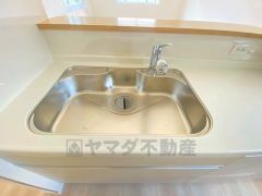 色も形もキレイなシンクは、広さも確保しているので、大きめの鍋も簡単に洗えます。