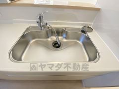 広々とした凸型シンクに洗剤ポケットを標準装備。大きなお鍋など洗いやすいです。洗剤や石鹸、スポンジもすっきりできる収納付き。
